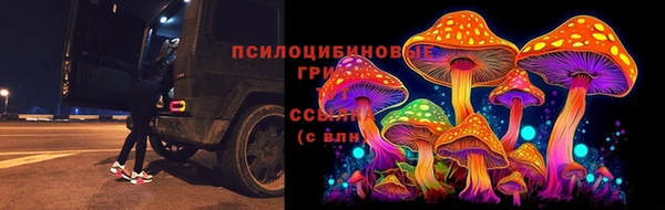 PSILOCYBIN Балахна